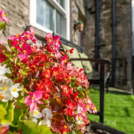 Tatil Evi Wee Toad Hole Heart Of - Sleeps 4-6 - Dogs Welcome